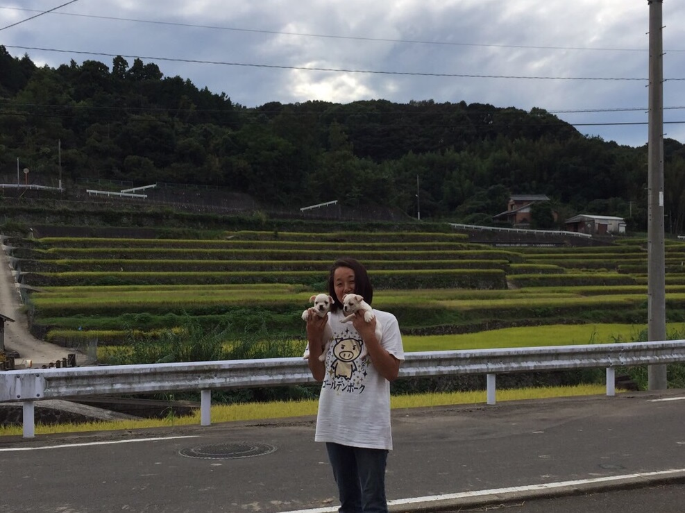ブリーダーさん画像