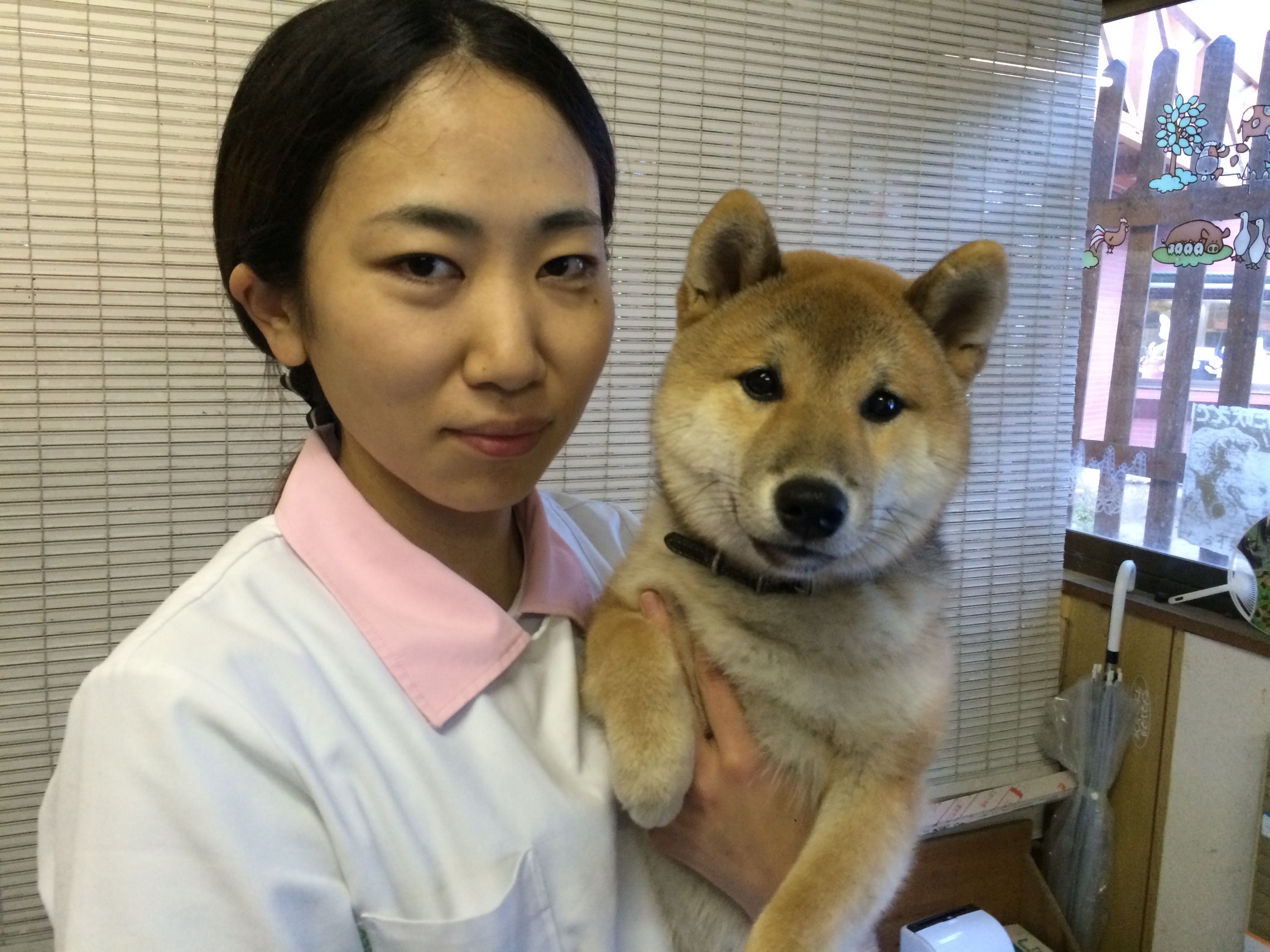 ブリーダーさん画像