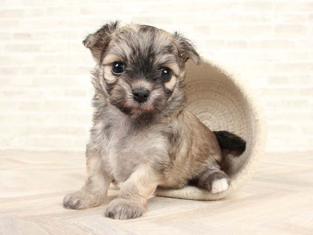 Cx7uzrnj Aqjfm Cx7uzrnj Aqjfm