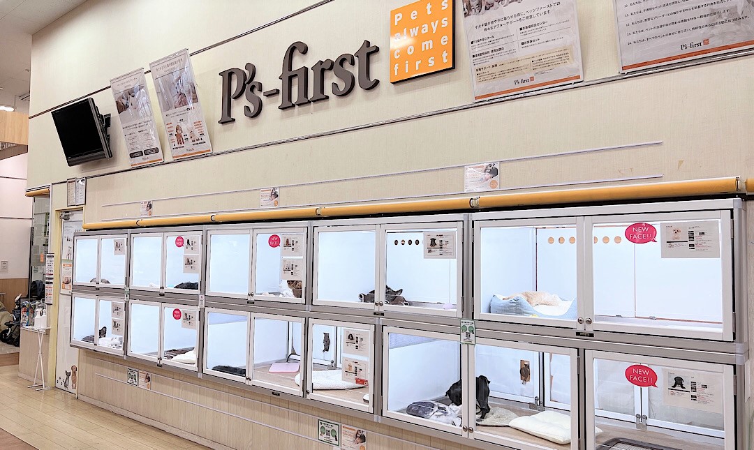 P's-first 久里浜店(神奈川県)